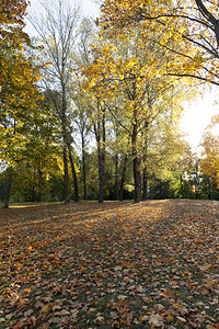 公园秋天的景色图片