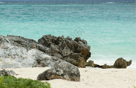 支撑异国情调加勒比海滩的景象奥尔洛夫图片