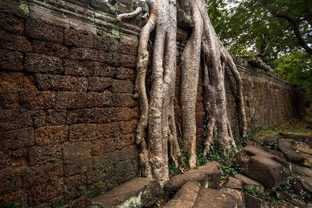 巴戎地标古代普拉萨特雷哈汗寺庙柬埔寨西姆收获历史图片