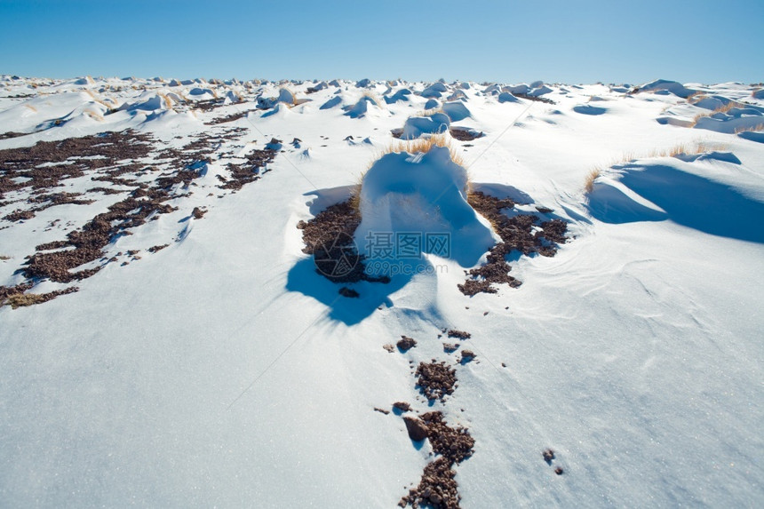 质地游客智利安托法加斯塔地区阿卡马沙漠智利南美洲安第斯高海台LosFlamencos保留地Atacama沙漠中的雪高原图片