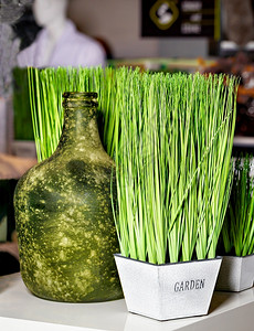 植物春生白广场的绿高草地在一片白色锅里个古老的绿瓶子在一片模糊的绿草丛中一个白色锅里和旧瓶子作为餐厅室内装饰品的一部分草本植物盆背景图片