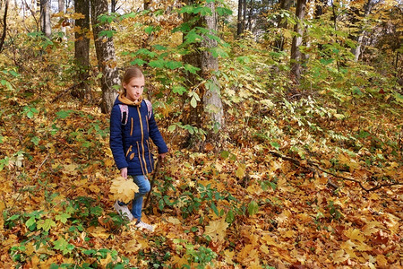脸清算晴天白种金发美女小孩在秋天落山时阳光明媚的森林中行走图片