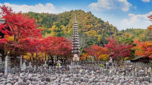 秋季森林里的寺庙图片