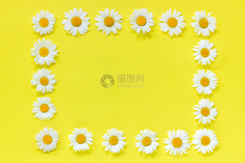 自顶向下躺着美丽的黄色背景花朵的三角形矩花纹框架黄色背景花朵的冠角圈弗拉特平坦的Crearive顶端视图上下方的FlaclPlo图片
