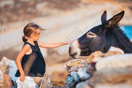 动物人们吸引的小女孩在Mykonos岛带驴的小姑娘在野驴户外爬图片