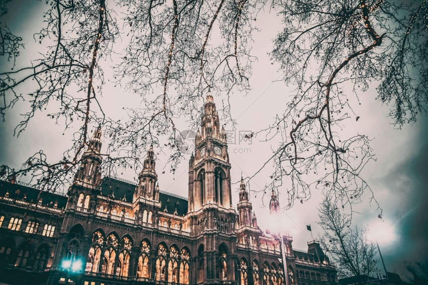 文化Vienna市政厅和公园装饰圣诞建筑学城市景观图片
