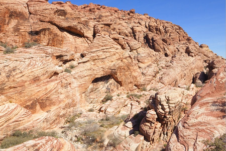 红色的夏天观察Mojave沙漠红岩峡谷的干地和红岩形成情况莫哈韦图片