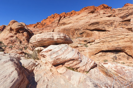 观察Mojave沙漠红岩峡谷的干地和红岩形成情况砂户外蓝色的图片