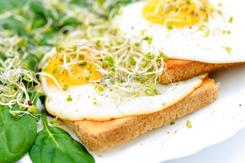 午餐三明治树叶烤面包上美味的煎鸡蛋加菠菜和白色盘子上的幼芽图片