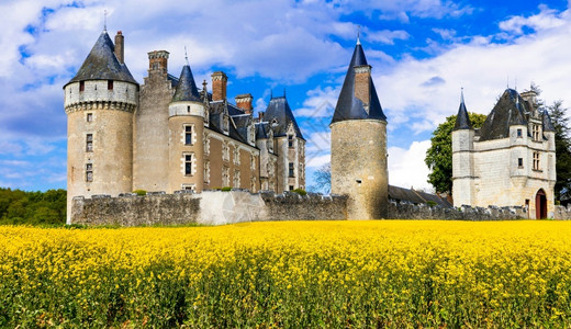 感人的历史法国卢瓦尔河谷中世纪的城堡法国美丽的图片
