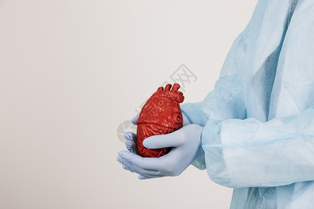 心电图脏外科医生高分辨率照片心脏外科医生高质量照片查看实验室图片