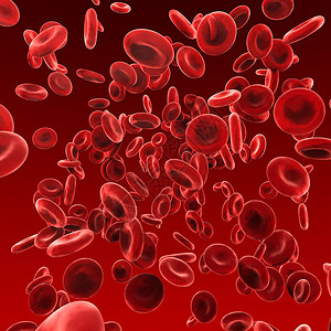 静脉3D型红血细胞液动脉图片