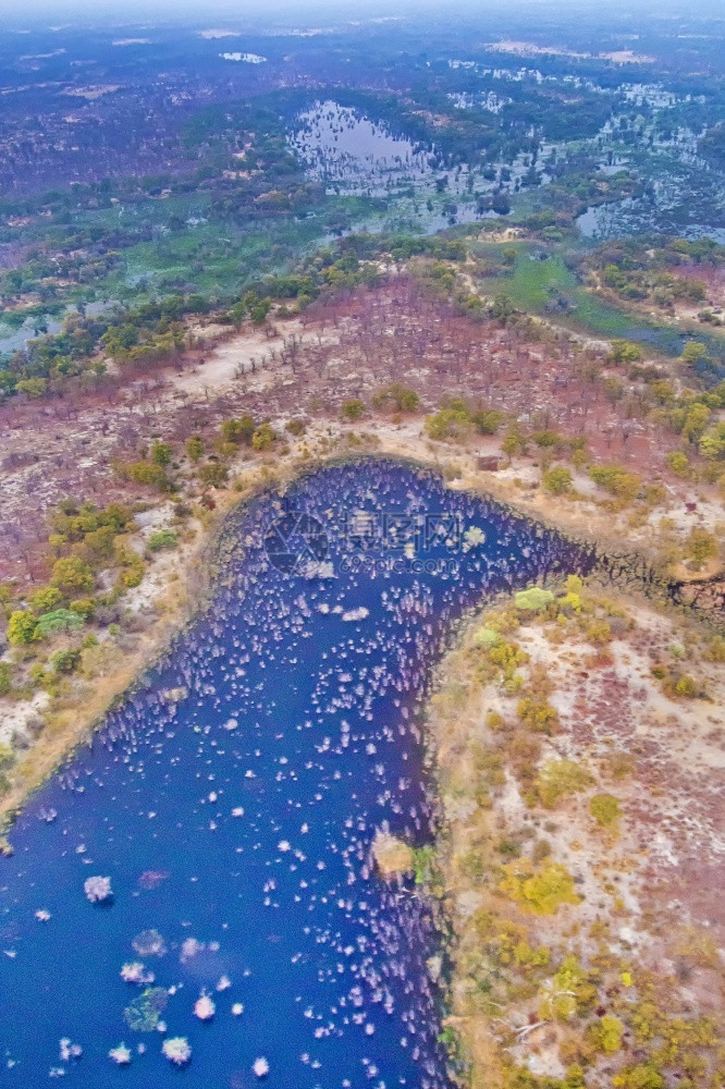 奥卡万戈湿地三角洲教科文组织世界遗产地点拉姆萨尔韦特兰博茨瓦纳非洲生态旅游美丽的自由图片