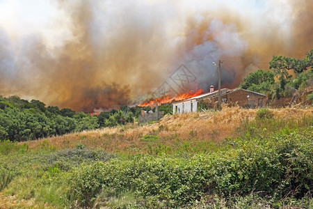 焚烧葡萄牙一栋房屋的森林火灾易燃风暴野图片