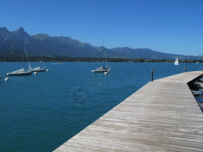 木林码头对瑞士通湖和阿尔卑斯山浪漫的海洋背景图片