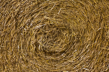 草Hay球背景的光滑质抽象农场保释图片
