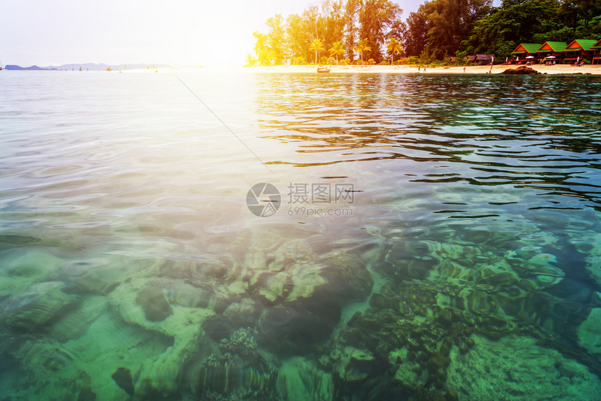 夏季日出时的阳光照耀着明海珊瑚礁beache树北点海滩度假胜地高角利佩岛Tarutao泰国Satun泰国KohLipe等采取游客图片