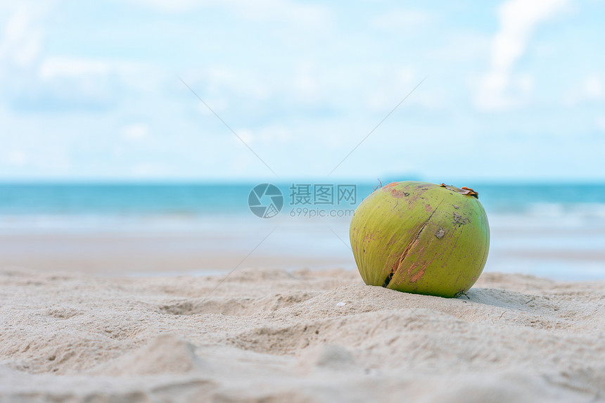 海景椰子被放在滩上的沙堆其背景是海洋和天空夏季概念休闲和旅游景观采取图片