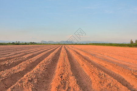 地球植物培育拖拉机制造的土壤线有蓝色天空和山地背景泰国农业图片