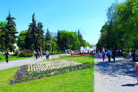 人们沿着公园走动人们可以在城市公园休息春季有郁金香的床铺孩子们过路人植物背景图片