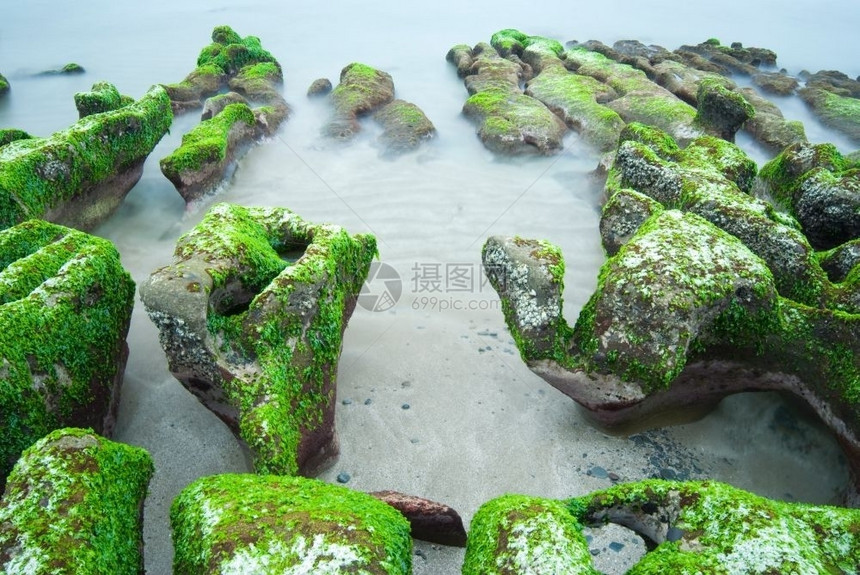 支撑光滑的长时期接触绿海草的落岩礁东亚旅游图片