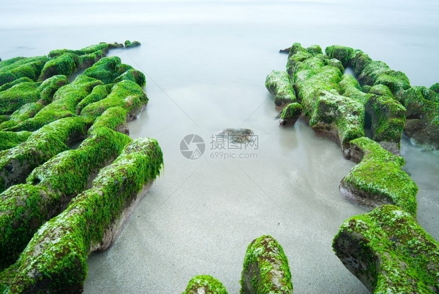 长时期接触绿海草的落岩礁东亚旅行海岸线假期图片