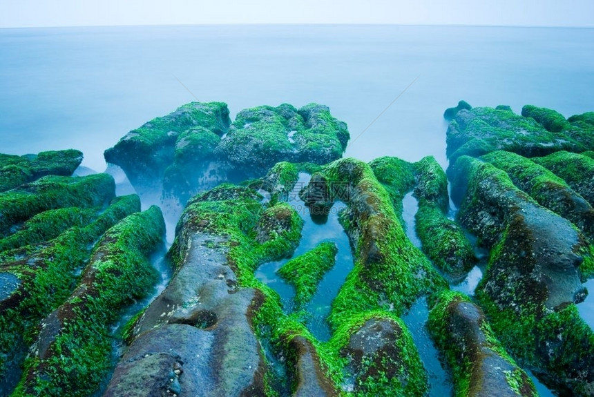 海滩长时期接触绿海草的落岩礁东亚支撑旅游图片