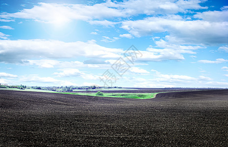 污垢草地在春日播种的田地阳光明媚的一天在蓝播种的田地上黑土播种的田地生长背景图片