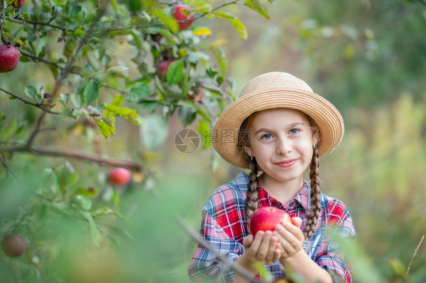 农场果园里的小女孩手拿苹果图片