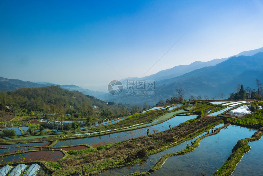 旅游水元阳梯田早晨遗产图片