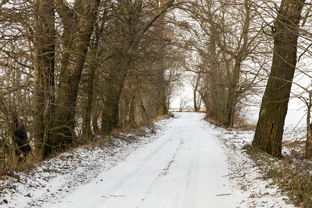 车道雪上脚印的胎足迹照片下雪中的脚印乡村运输图片