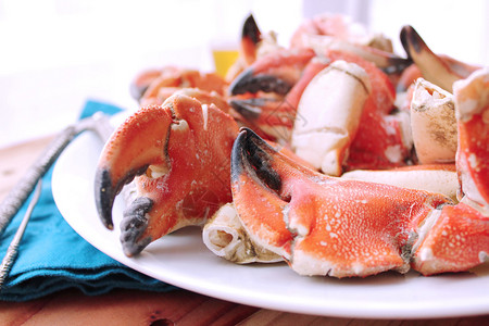 烤混合的海鲜加龙虾平静鱼蓝面圈和大虾冰食物乌贼图片