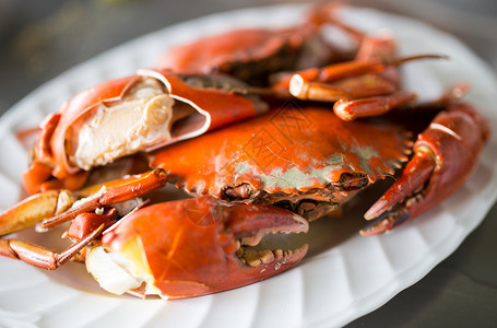 烤混合的海鲜加龙虾平静鱼蓝面圈和大虾健康蓝色的一顿饭图片