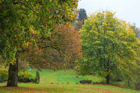 格林伍德户外在山中漫步足迹绿木林或叶中的和绿森图片