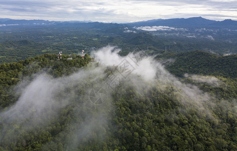 云雾笼罩的森林图片
