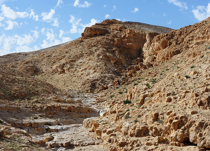 景观以色列内盖夫阿拉德附近的沙漠峡谷KidodCeek岩石西克图片