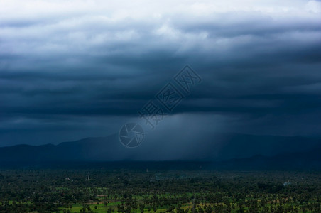 风暴法米拉泰国PhitechaburiPharmyra棕榈田上有暴云雨风重的美丽背景