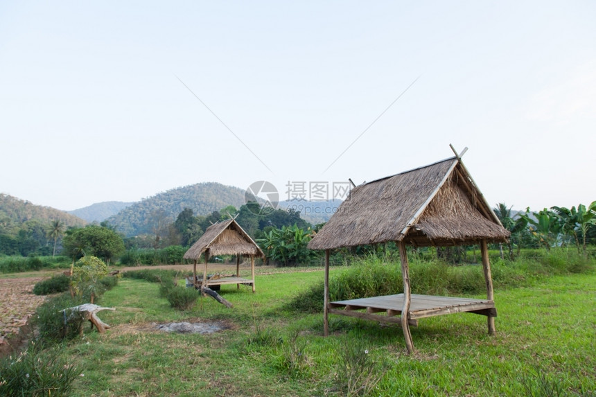 爬坡道乡村的草原木林小屋棚田中深处被雾散落的山丘农村图片