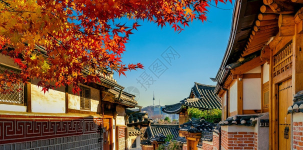 传统韩国风格建筑秋季景色图片
