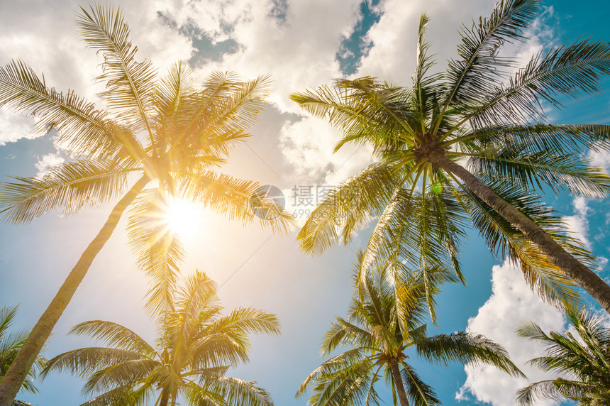 旅游泻湖椰子树和太阳天空有云彩夏的概念阳光图片