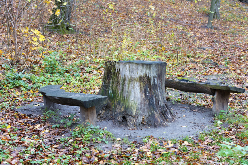 自然在林地角有些树桩被用作一张桌子和长凳山坡用作一张桌子和在森林户外的板凳复古圆圈图片
