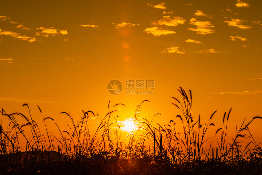 轮廓场地清晨日出薄雾背景和浅地草原的色多彩泰国江莱冬季秋风雪超过图片