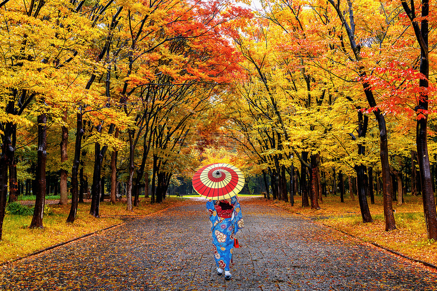 穿着日本传统和服的亚裔女子在秋天公园散步假期木头松弛图片