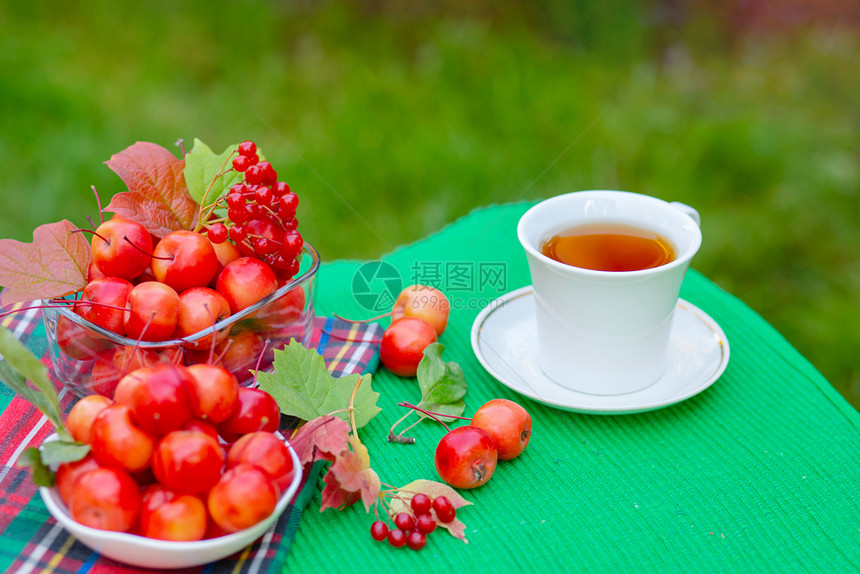 食物作品早上在花园里喝一杯带天堂苹果的白热茶自然背景模糊早上好在花园里喝一杯带天堂苹果的白热茶饮料图片