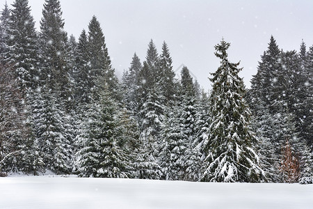 美丽的冬季风景山林降雪场景风暴有图片