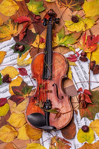 乐队小提琴和秋叶笔记栗子小提琴和秋叶黄色的旋律图片