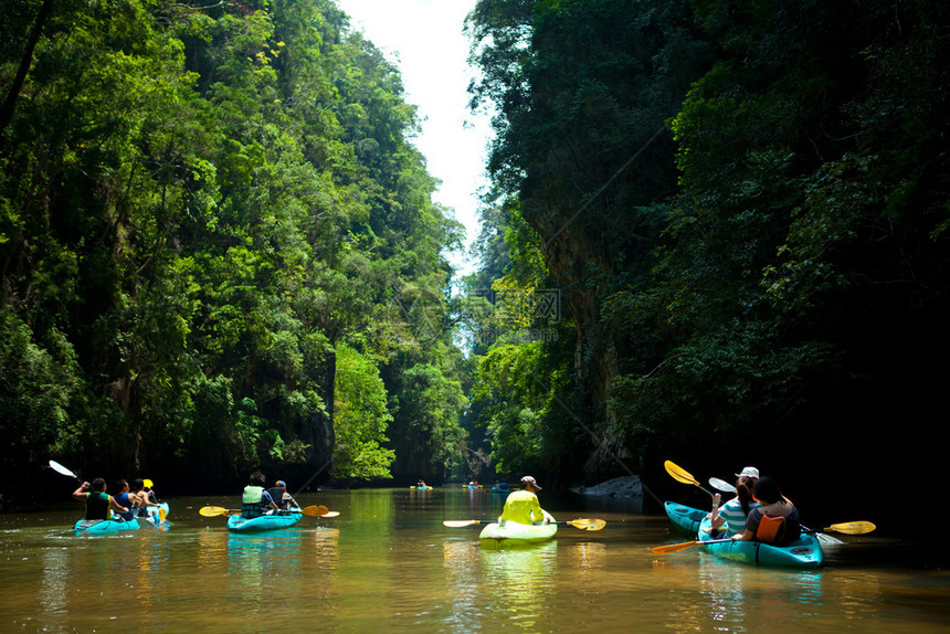 森林木头闲暇泰国南部河流上的单眼艇图片
