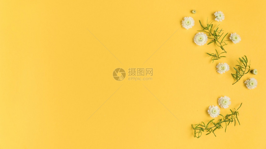 高的白晶菊花叶留有黄色的卡片解答高品质和清晰度的美照片概念高质量和清晰度的美丽照片高品质和清晰度的黄卡解析花图片
