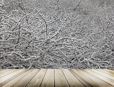 天气新的冬季森林背景以雪单和冬季森林枝木的纹理形式绘制冬季森林天图片