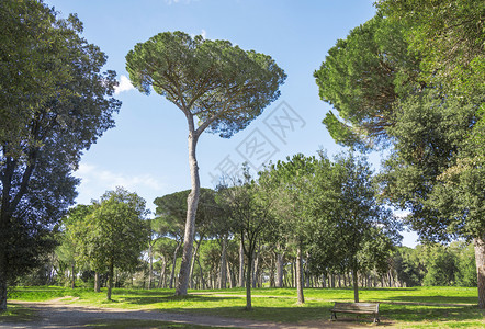 放松场地在罗马的多里亚潘菲利别墅和罗马的多里亚帕菲利别墅和平图片